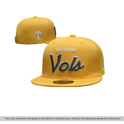 Bold Embroidered Snapback