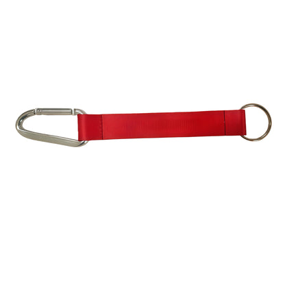 Pocket lanyard with carabiner clip